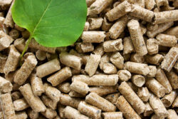 Commercial Wood Pellet Mill: A Detailed Overview