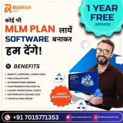Premier MLM Software Development Service in Chandigarh
