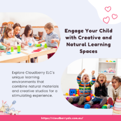 Cloudberry ELC