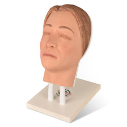 Facial Injection Manikin with Feminine Features – Nana Model