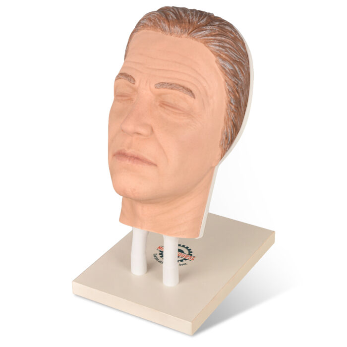 James Model – Facial Injection Training Head with Masculine Features