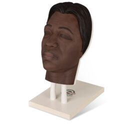 Facial Injection Training Silicone Mannequin Head with Dark Skin – Kaya Model