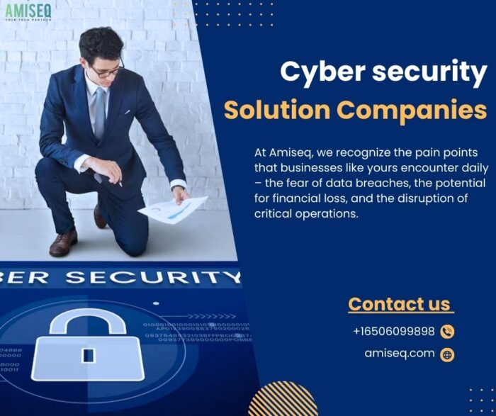 Secure Your Business with Amiseq’s Cybersecurity Solutions