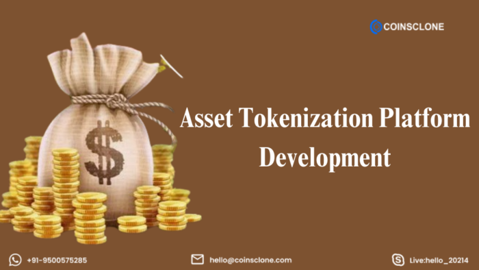How To Choose An Asset Tokenization Platform?