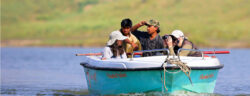 Confirm Chambal Safari Booking for Unforgettable Journey