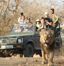 Schedule Devaliya National Park Booking for Wildlife Adventure