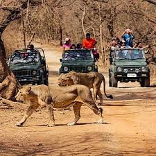 Get Devaliya National Park Booking for Rich Wildlife