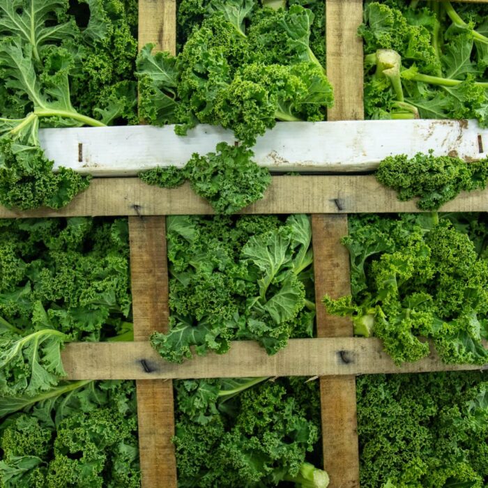 Organic Vegetables Leeds