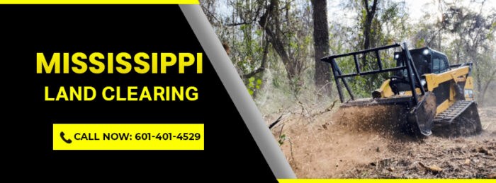Expert brush clearing services in Kossuth, Mississippi