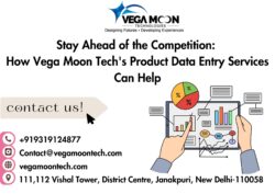 Stay Ahead of the Competition: How Vega Moon Tech’s Product Data Entry Services Can Help