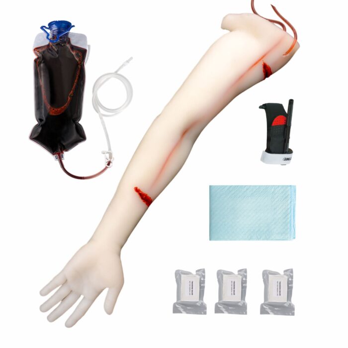 Translucent Arm Hemorrhage Control Model with Dual Cut Wounds