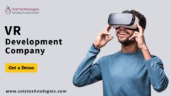 VR Development Company