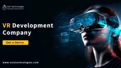 VR Development Company