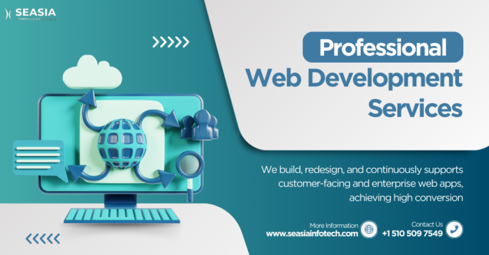 Custom Web Development Services In the USA