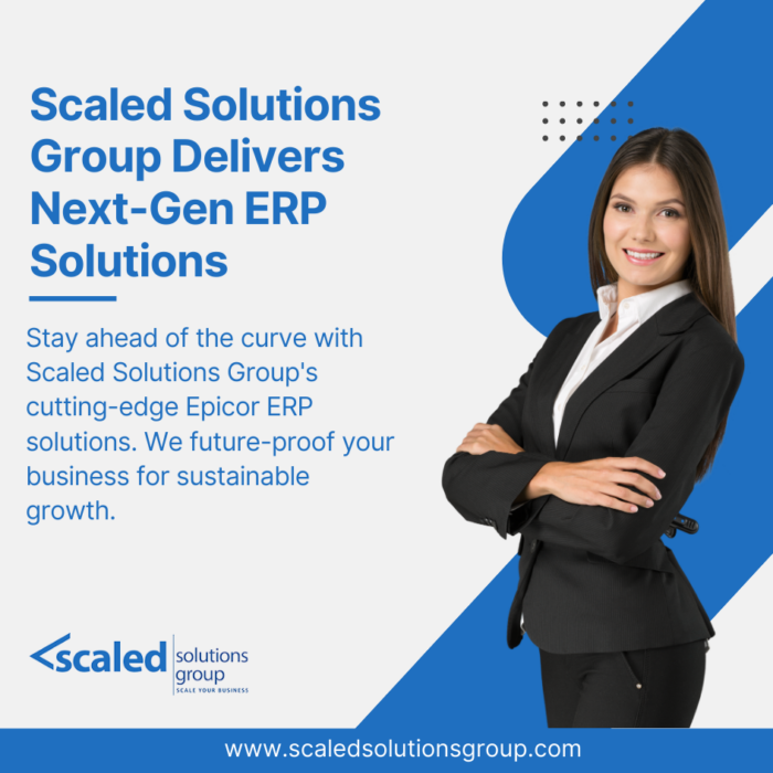 Erp Implementation Services