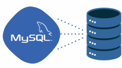 Why is MySQL So Popular?