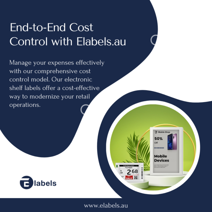 Electronic Shelf Labels Cost
