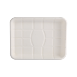 bagasse tray