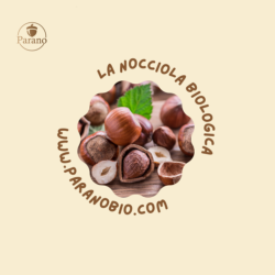 Produttori Nocciole Biologiche
