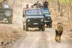 Reserve Devaliya National Park Booking for Wildlife Zone
