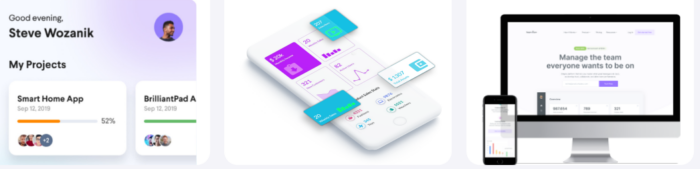 Dipa Solutions: Premier Web Consulting Company