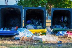 Dumpster Rental in Woodland Hills, CA