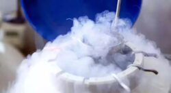 Egg Freezing in Hyderabad | Oocyte Cryopreservat​ion