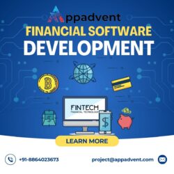 Custom Financial Software Development for Businesses in India