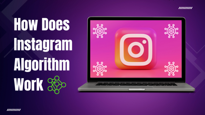 How Does Instagram Algorithm Work