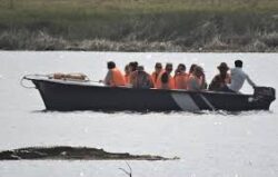 Schedule Chambal Safari Booking for Unique Wildlife