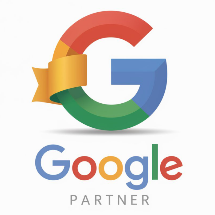Google Partner in India