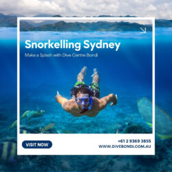 Top Snorkelling Sydney Tours – Book with Dive Centre Bondi