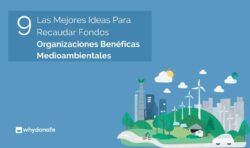 Las 9 Mejores Ideas de Recaudación de Fondos para Organizaciones Ambientales