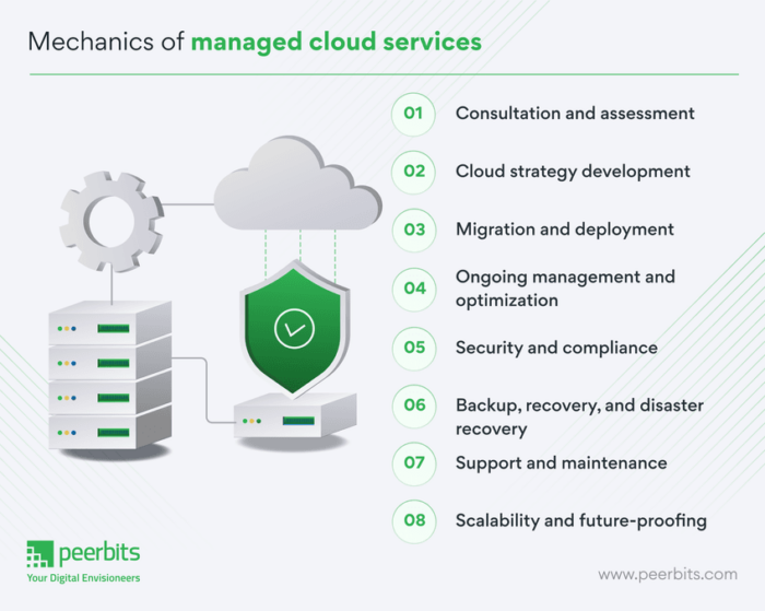 How does managed cloud services work?