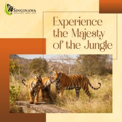 Kanha National Park in India