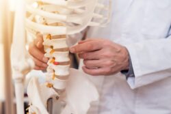 What are the different types of spinal fusion?