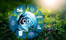 How TCFD Reporting Is Shaping the Future of Corporate Sustainability