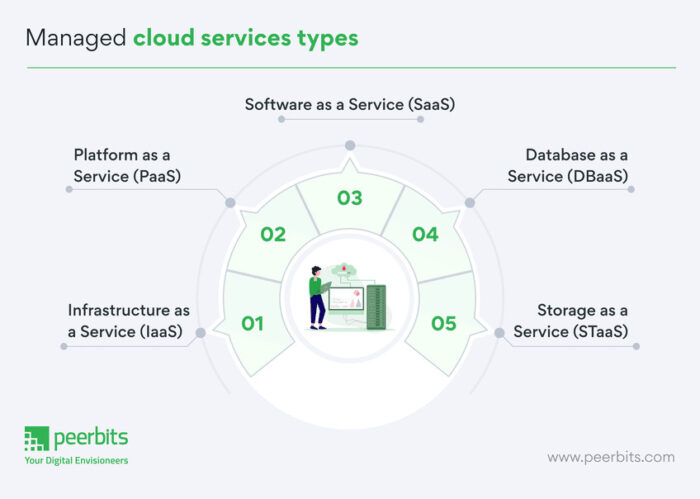 Types of cloud managed services