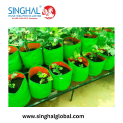 Planting Garden Bags: Grow Anywhere, Anytime