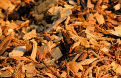 Elevate Your Business with the Wood Pellet Press Machine