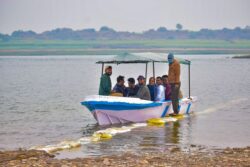 Reserve Palighat Chambal Safari Booking for Nature’s Tranquility