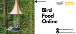 Discover the Best Bird Food Online at Cessna Pet Store