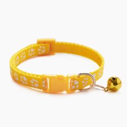 Elevate Your Pet’s Style with Custom Pet Collars