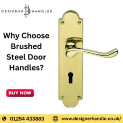 Why Choose Brushed Steel Door Handles?