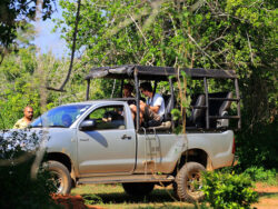 Plan Devaliya Park Safari Booking for Scenic Environment