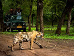 Experience Devaliya Park Online Booking in Advance for Smooth Adventure