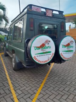 Best national parks on a Kenya wildlife safari to see lager herds of elephants