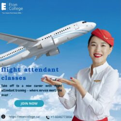 Flight Attendant Classes: Your Gateway to a Rewarding Career