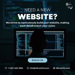 Hire Web Designer India