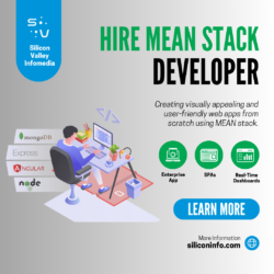 Hire Expert MEAN Stack Developers from India!